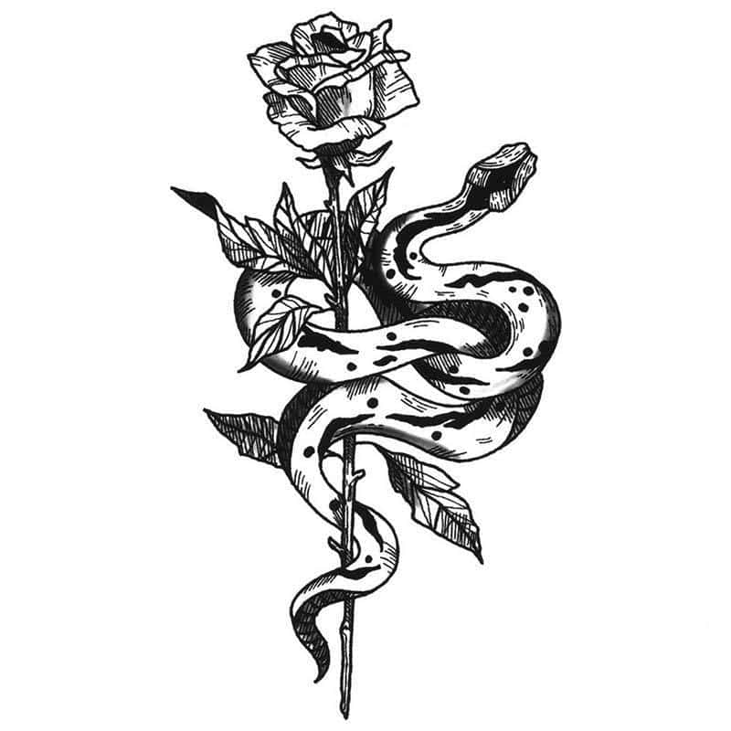 Tatuagem Cobra A Rosa (Temporaria) - Image 2