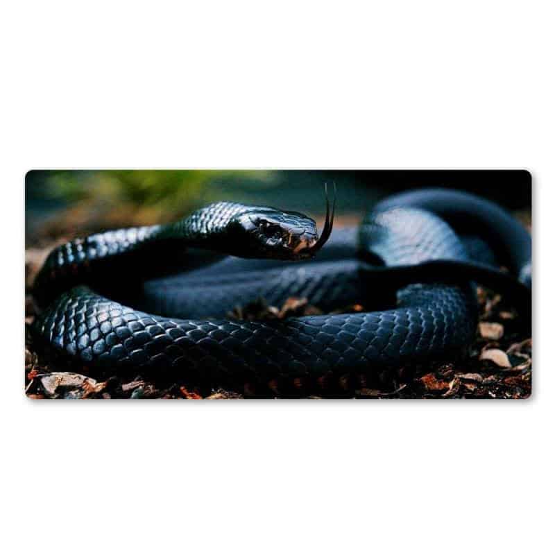 Mouse Pad Cobra Naja