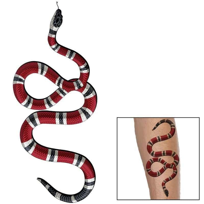 Tatuagem Cobra Rei Escarlate (Temporaria)