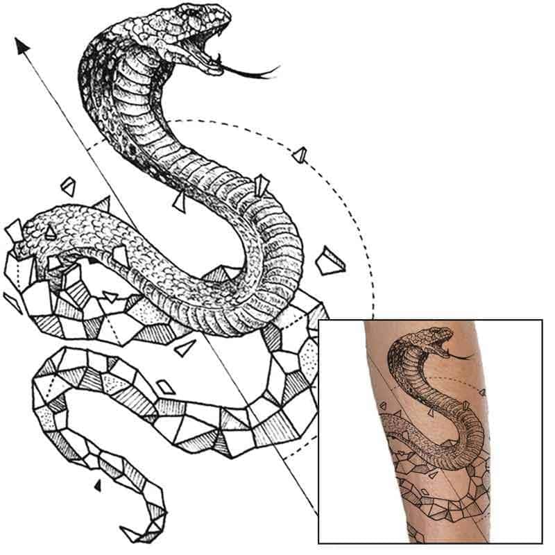 Tatuagem Cobra De Rocha (Temporaria)
