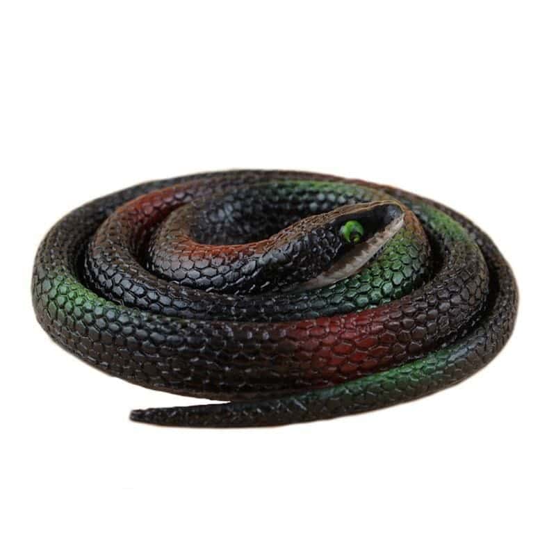 Cobra Falsa Marrom Manchado