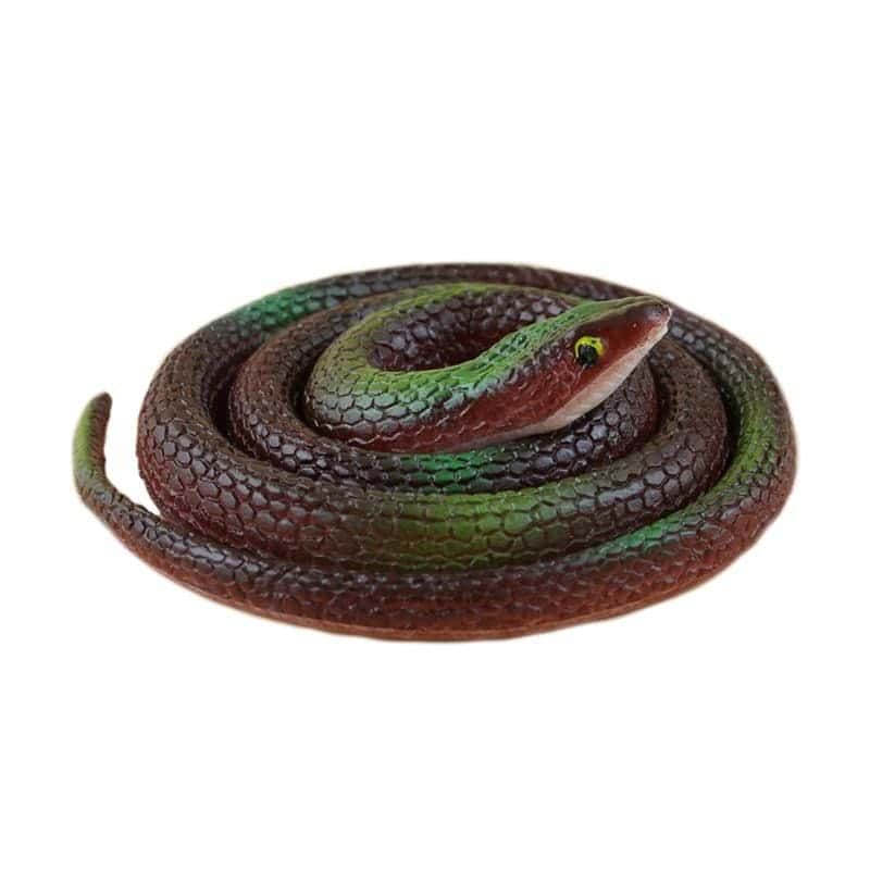 Cobra Falsa Bruno