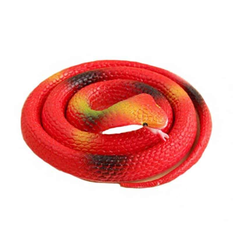 Cobra Falsa Cobra Vermelha