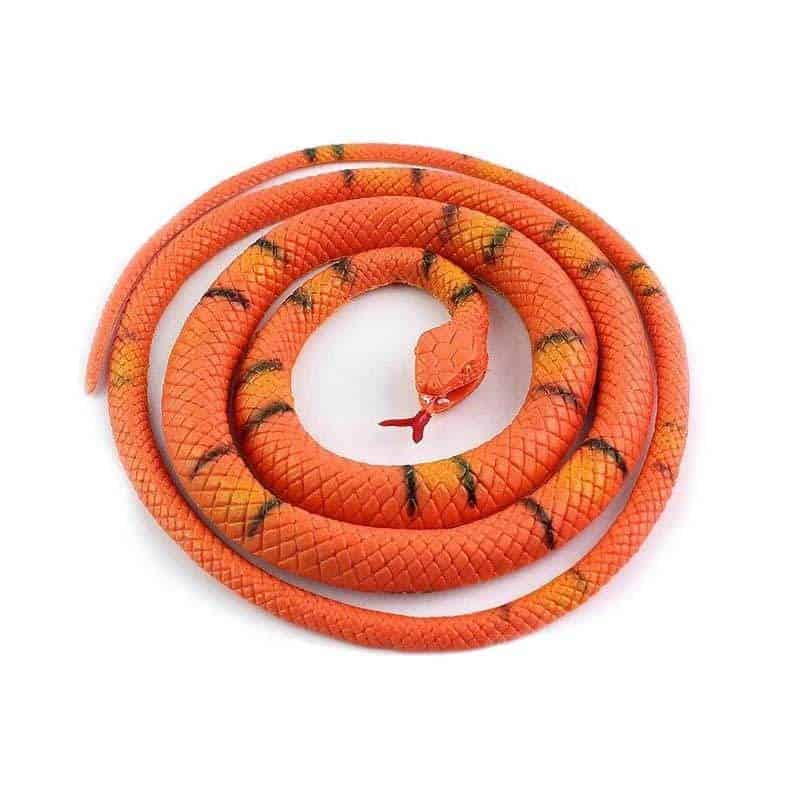 Cobra Falsa Laranja