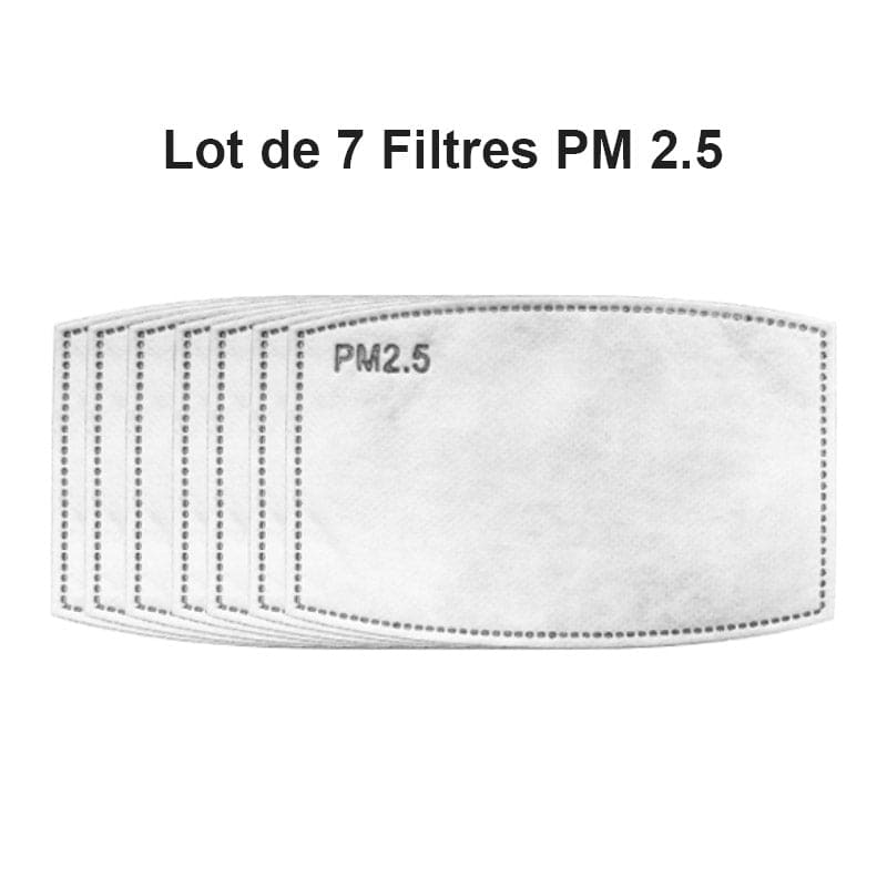 Lote De 7 Filtros Pm2.6
