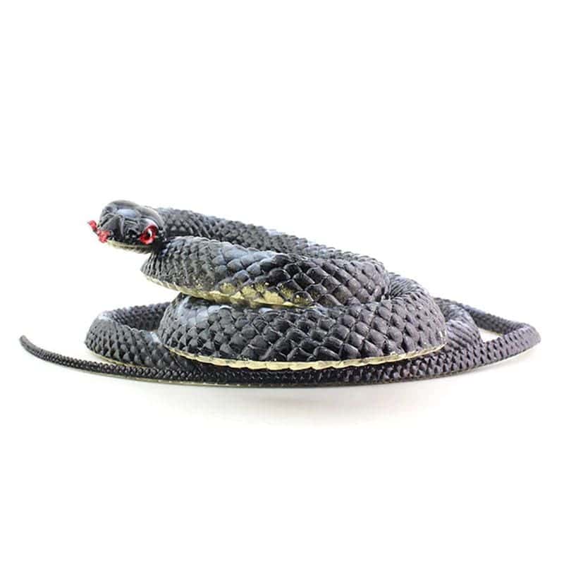 Cobra Falsa Preto