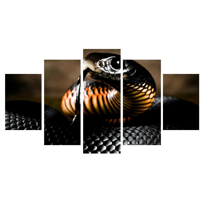 Quadro Cobra Cobra