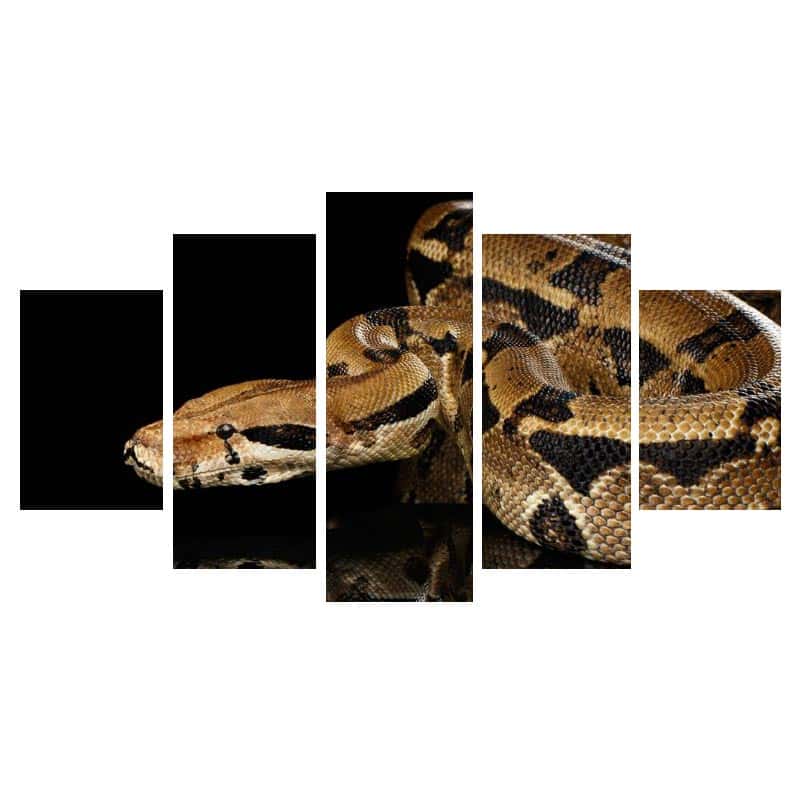 Quadro Cobra Python Reticulado