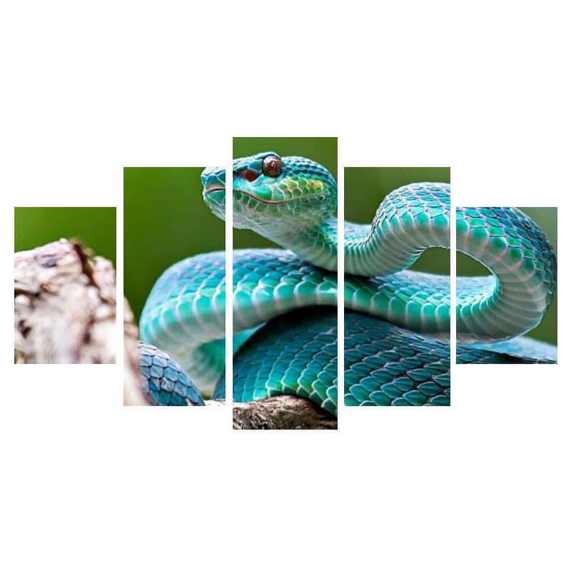 Quadro Cobra Azul
