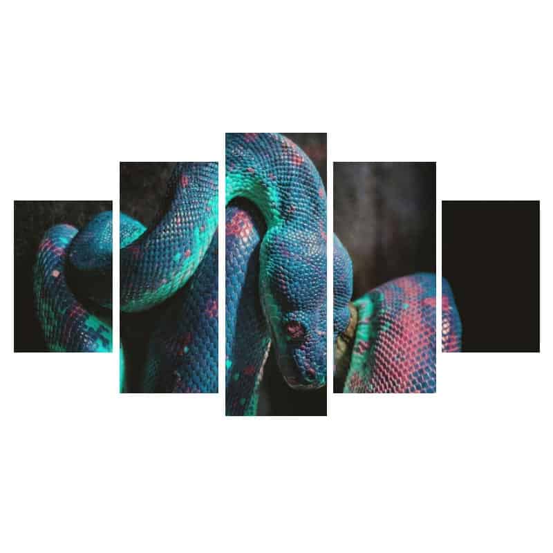 Quadro Cobra Irisado