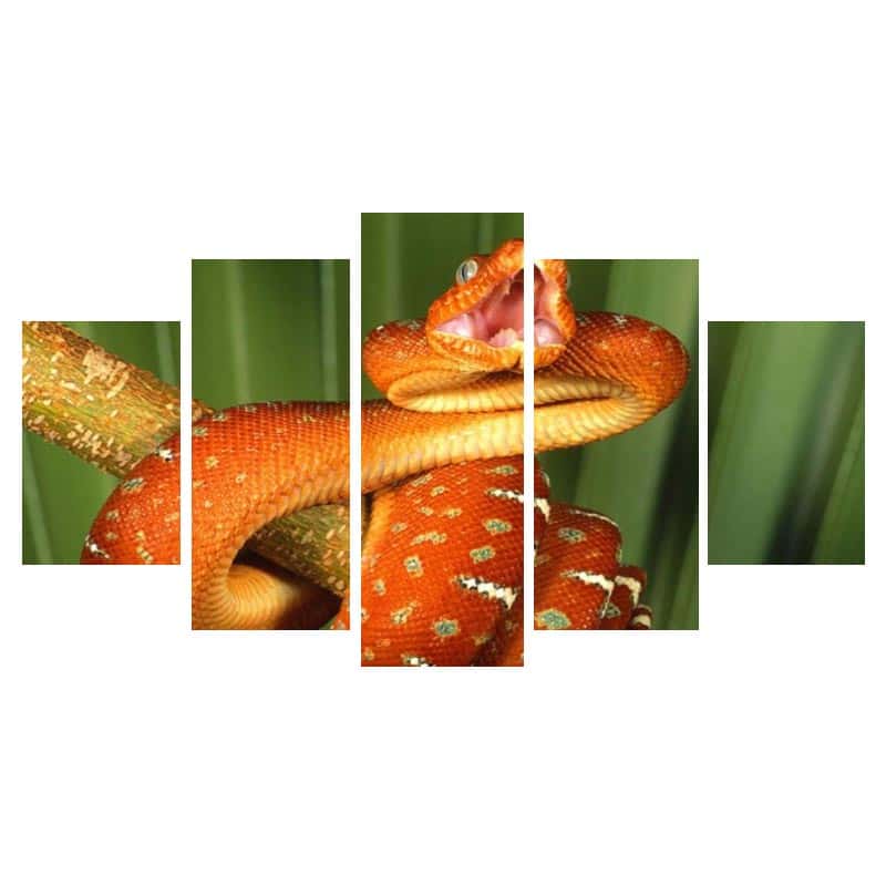 Quadro Cobra O Ataque
