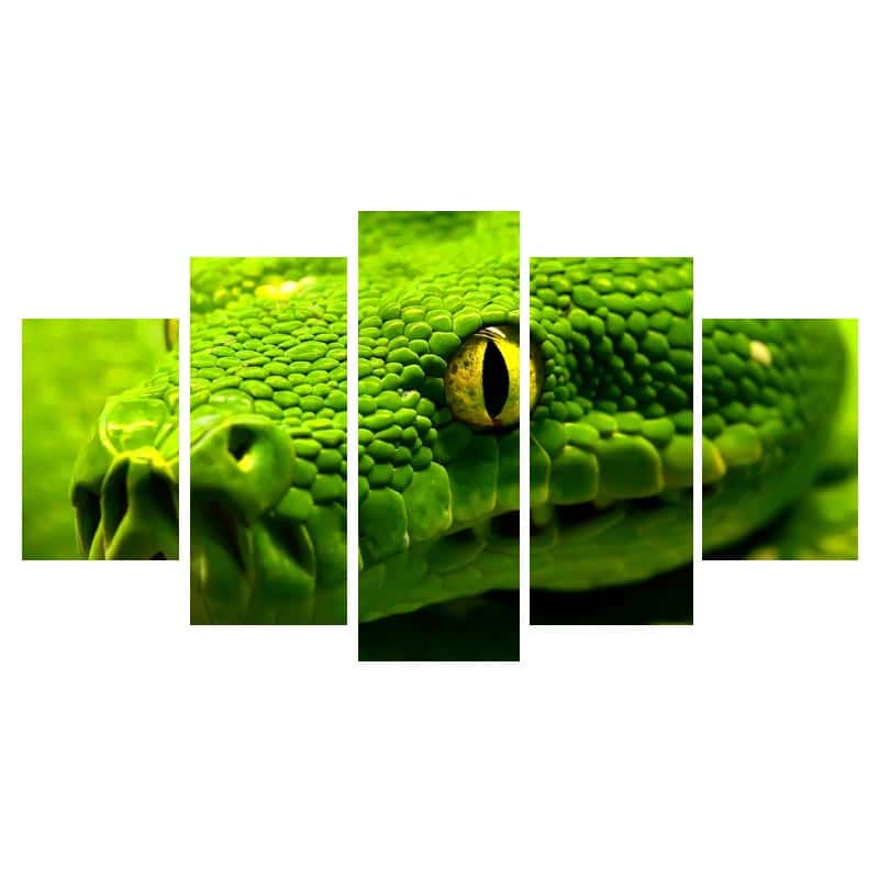 Quadro Cobra O Olho