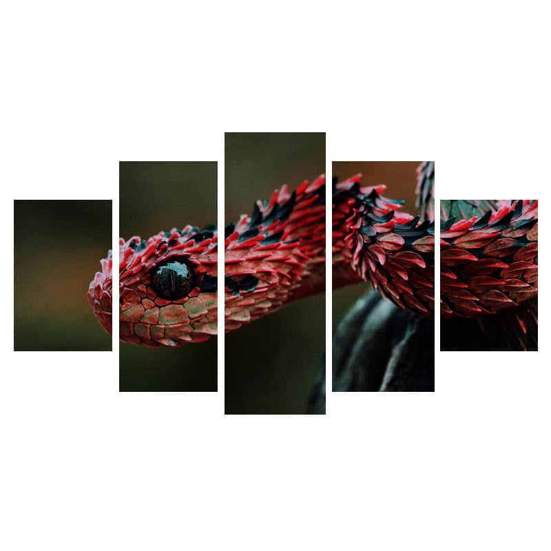 Quadro Cobra Vermelho