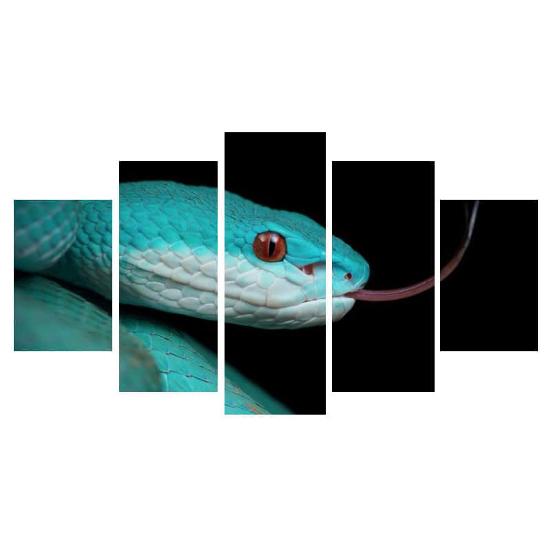 Quadro Cobra Cabeça Azul