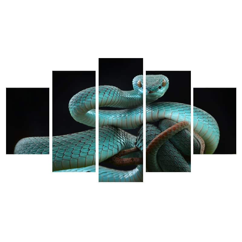 Quadro Cobra Víbora Azul