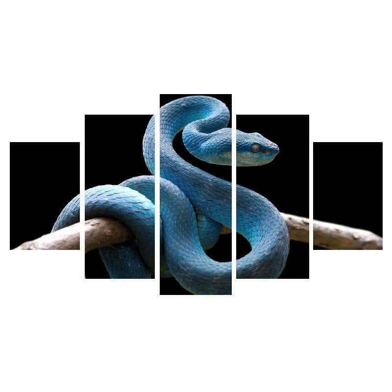 Quadro Cobra Víbora Azul